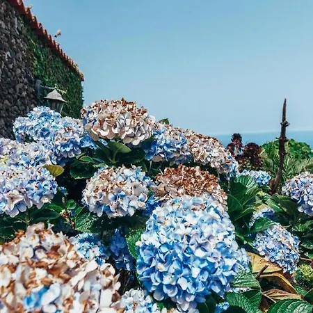 Сasa de vacaciones Casas Corea *