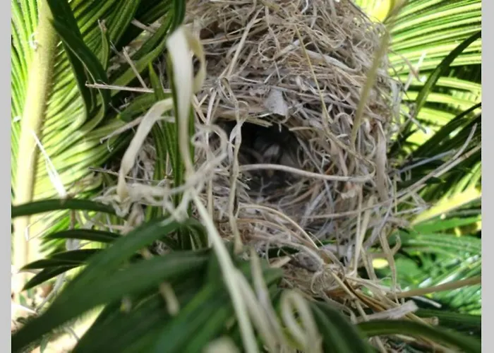 Casas Corea Prázdninový dům Puntagorda